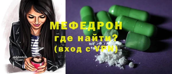 индика Каменка