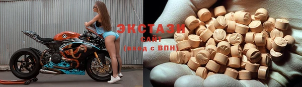 индика Каменка