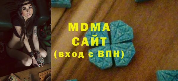 индика Каменка