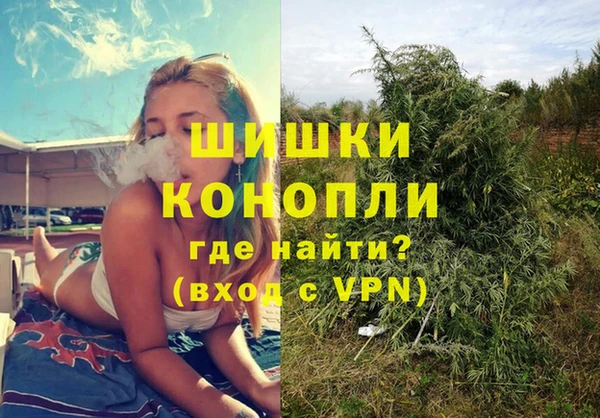 трава Иннополис