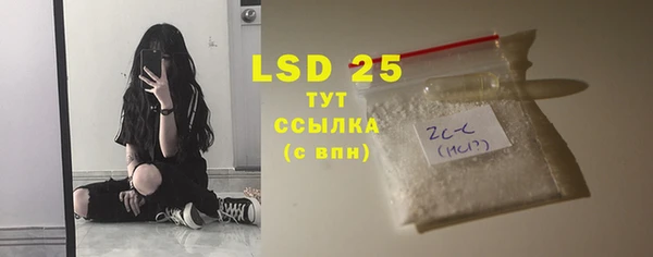 индика Каменка