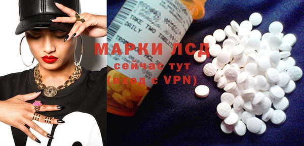 индика Каменка