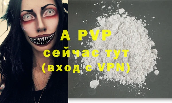 индика Каменка