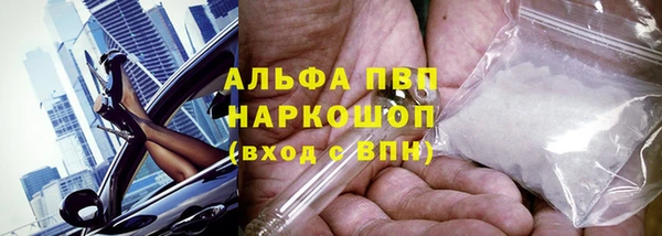 трава Иннополис