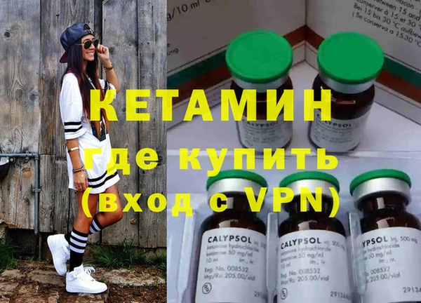 индика Каменка