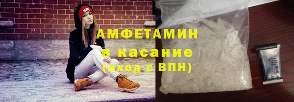 ПСИЛОЦИБИНОВЫЕ ГРИБЫ Инсар