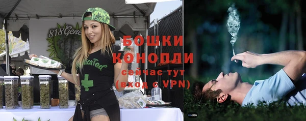 трава Иннополис
