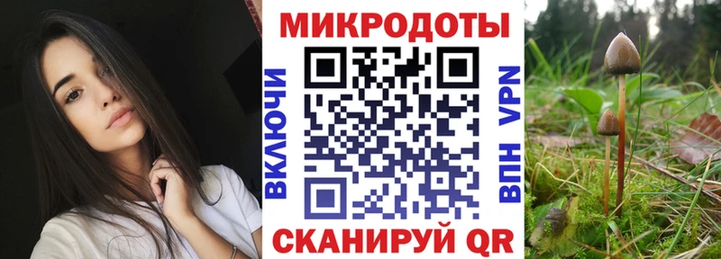Галлюциногенные грибы GOLDEN TEACHER  Купить закладки  Приволжск 